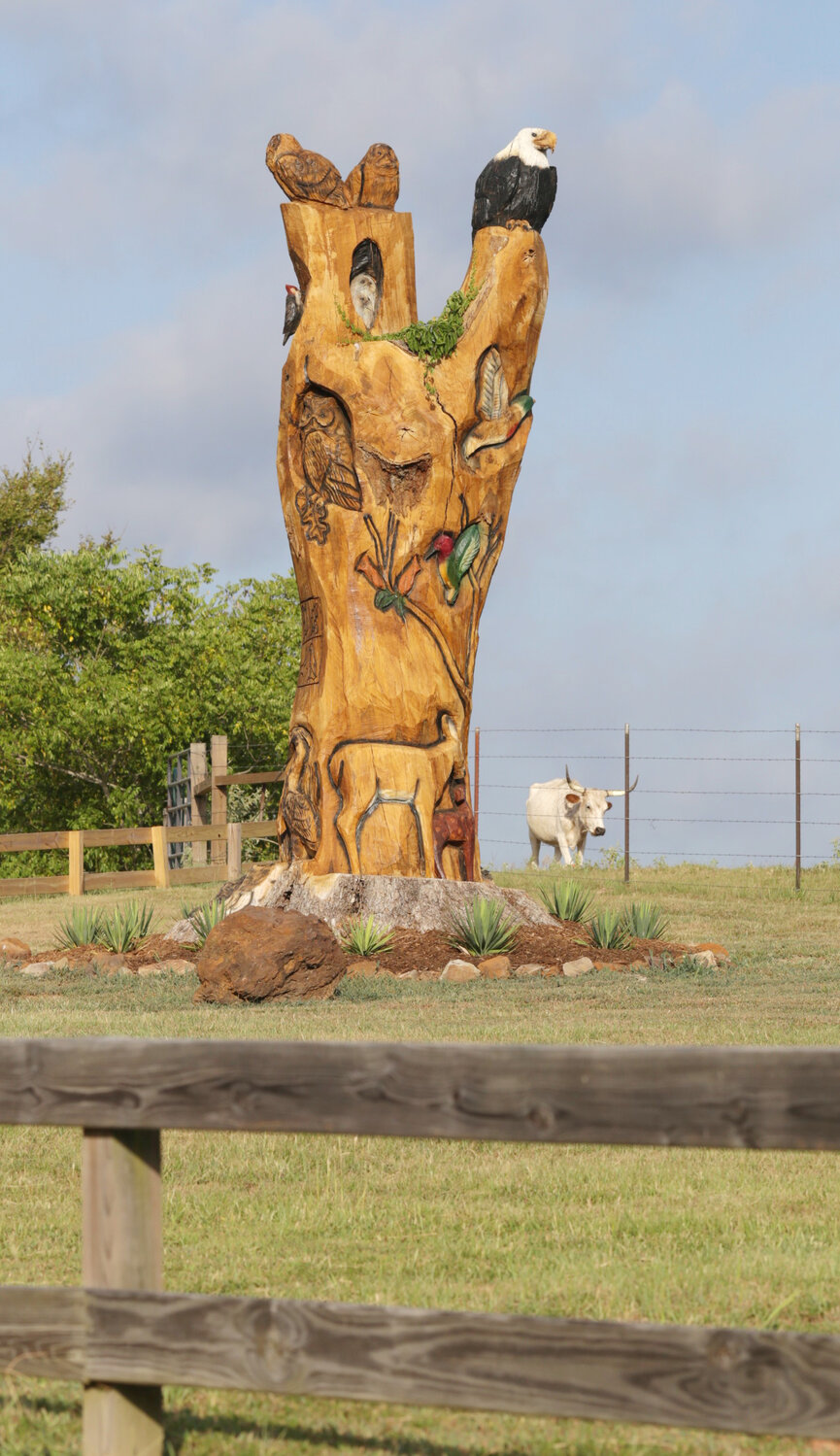 at the Mineola Nature Preserve for the chainsaw sculpture of local artist Jimmy Hobbs. It depicts a variety of native